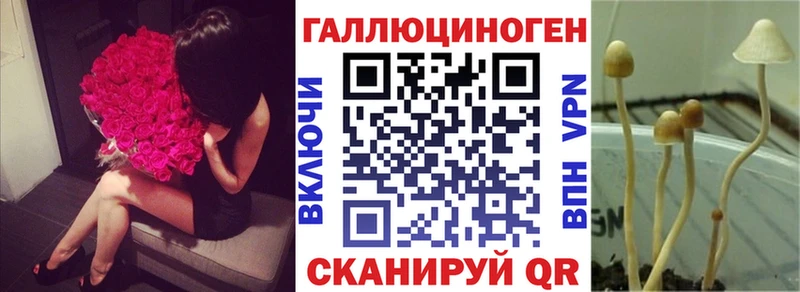Купить закладки  Ардатов  Псилоцибиновые грибы ЛСД 